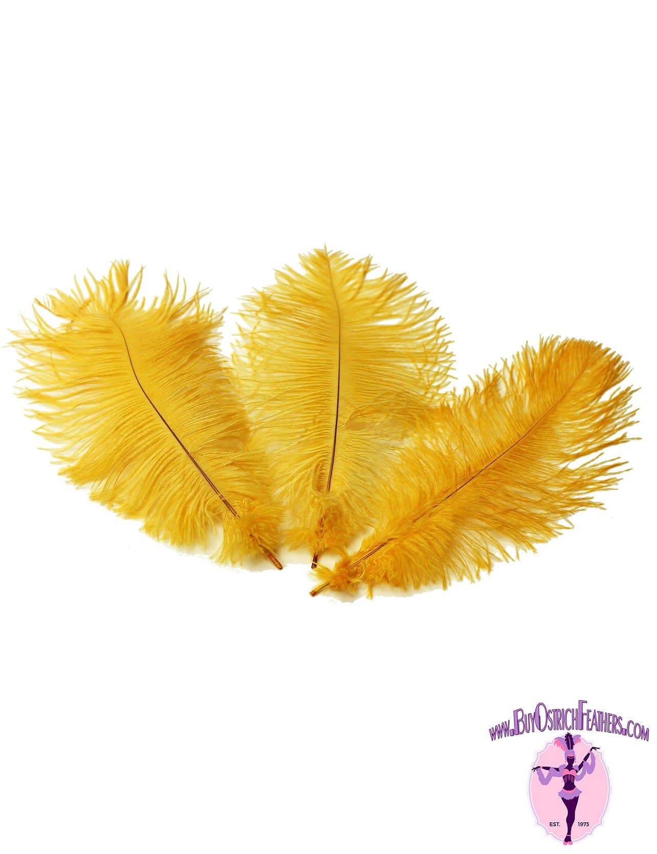 Ostrich Feather Tail Plumes 15-18" (Golden Yellow) - Buy Ostrich Feathers