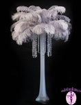 Load image into Gallery viewer, Ostrich Feather Tail Plumes 15-18" (Silver/Grey) - Buy Ostrich Feathers
