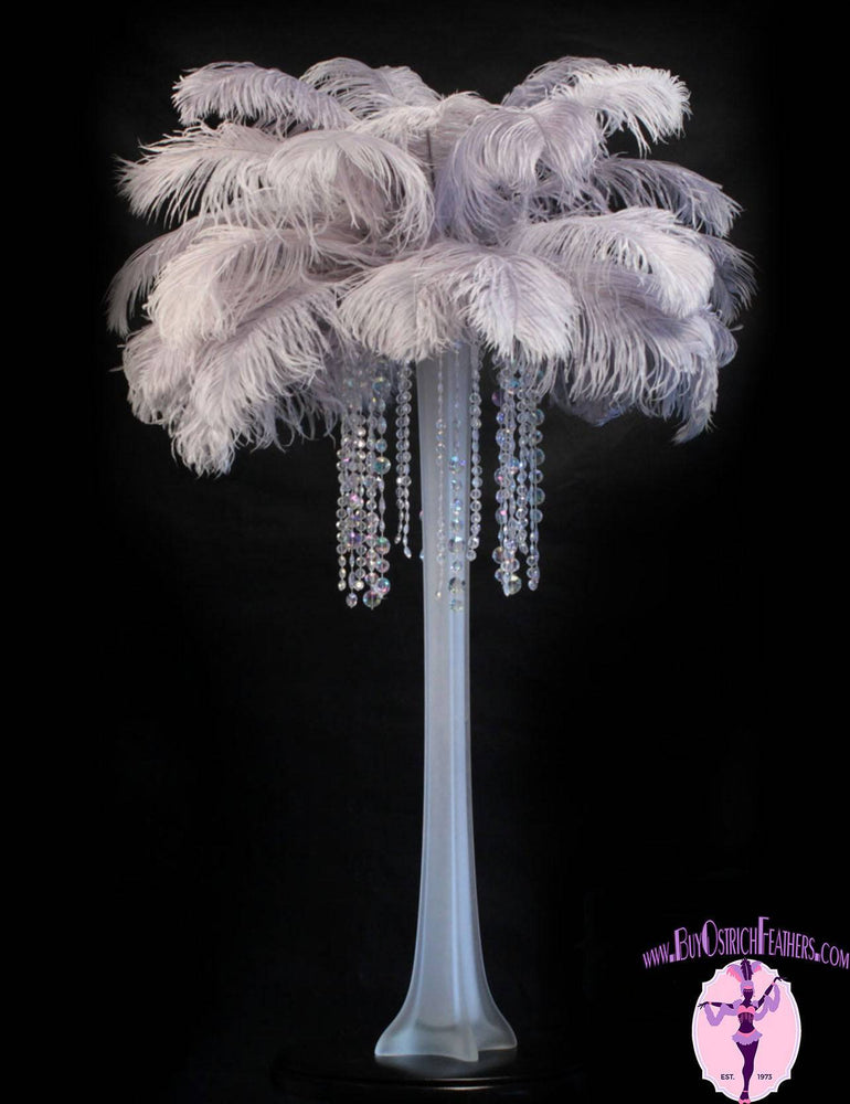 Ostrich Feather Tail Plumes 15-18" (Silver/Grey) - Buy Ostrich Feathers
