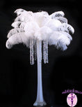 Load image into Gallery viewer, Ostrich Feather Tail Plumes 15-18" (White) - Buy Ostrich Feathers
