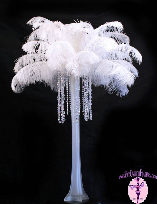 Ostrich Feather Tail Plumes 15-18" (White) - Buy Ostrich Feathers