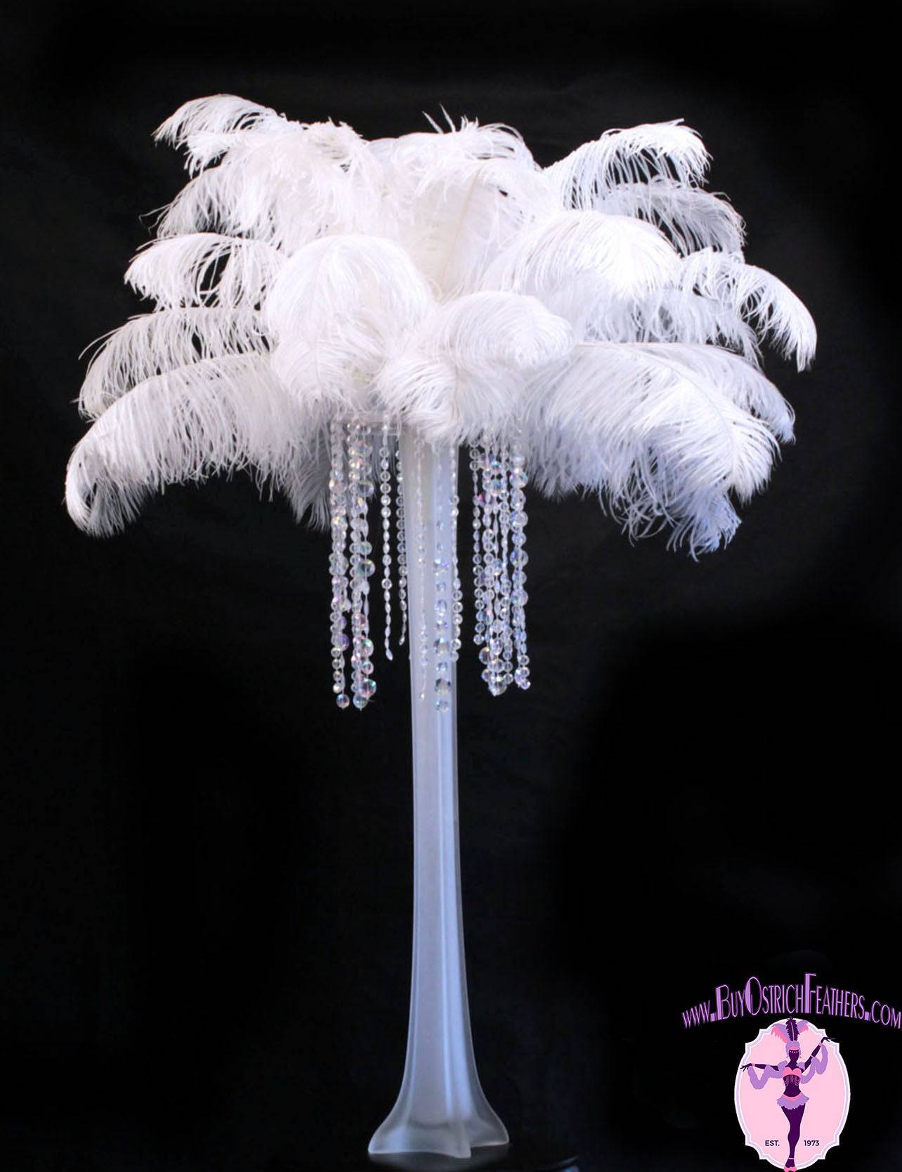 
                  
                    Ostrich Feather Tail Plumes 15-18" (White) - Buy Ostrich Feathers
                  
                