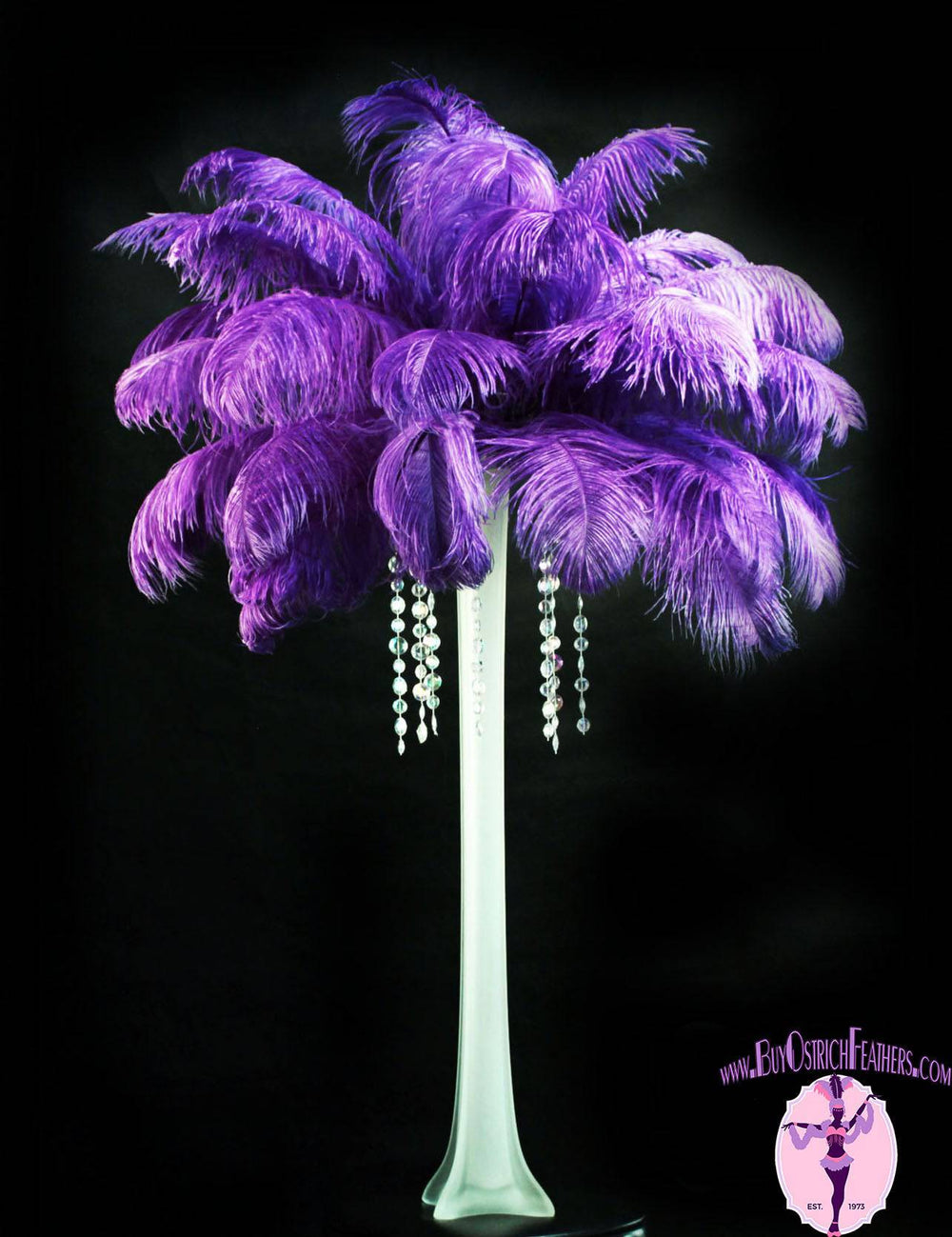 Ostrich Feather Tail Plumes 17-20