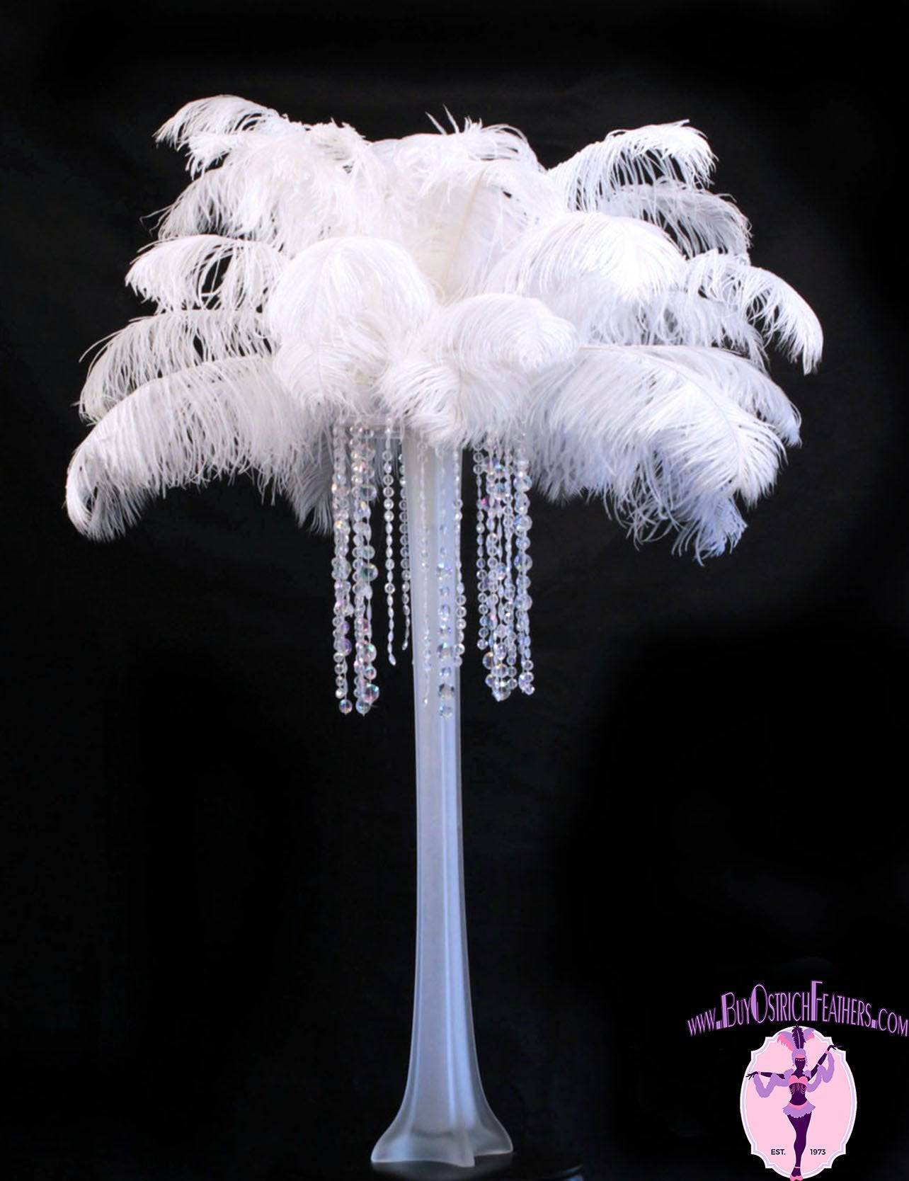 Ostrich Feather Tail Plumes 17-20" (White) - Buy Ostrich Feathers