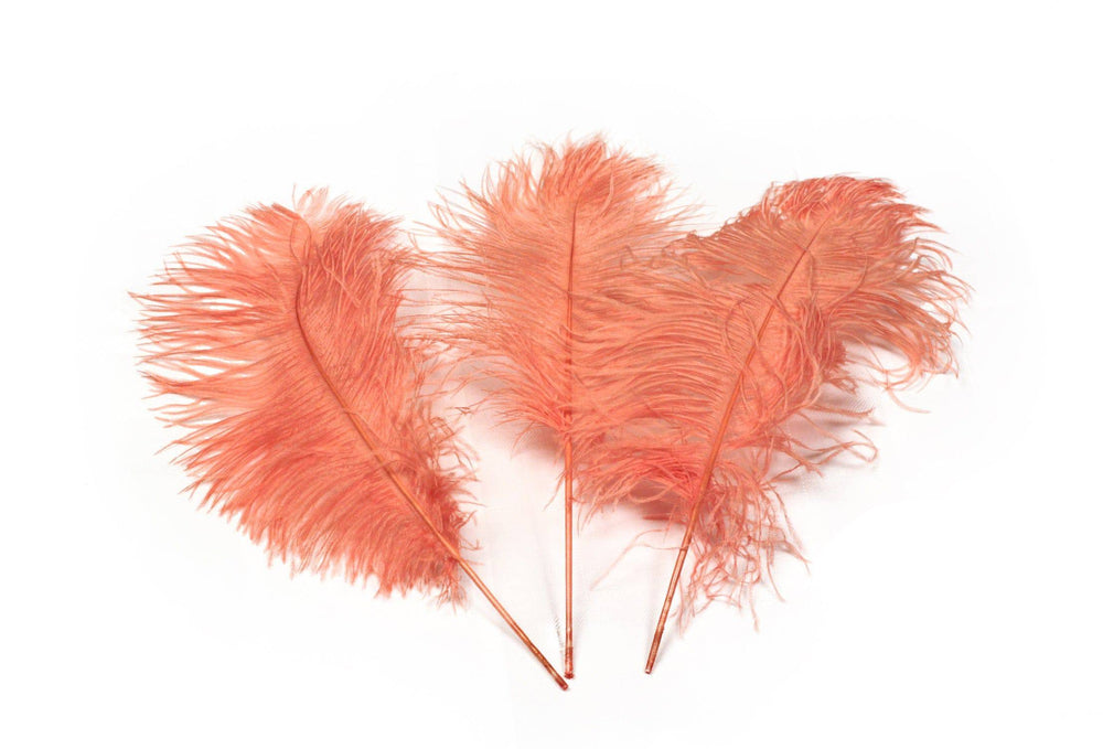 Ostrich Feather Tail Plumes 9-12