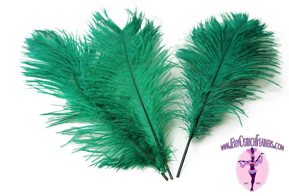 Ostrich Feather Tail Plumes 9-12" (Emerald Green) - Buy Ostrich Feathers