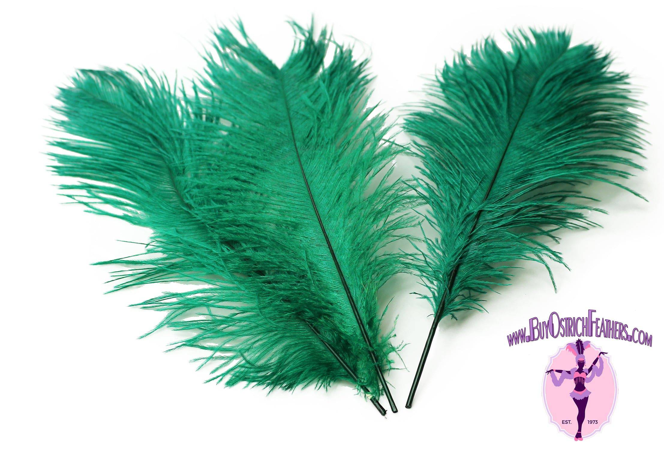 Ostrich Feather Tail Plumes 9-12 (Emerald Green)