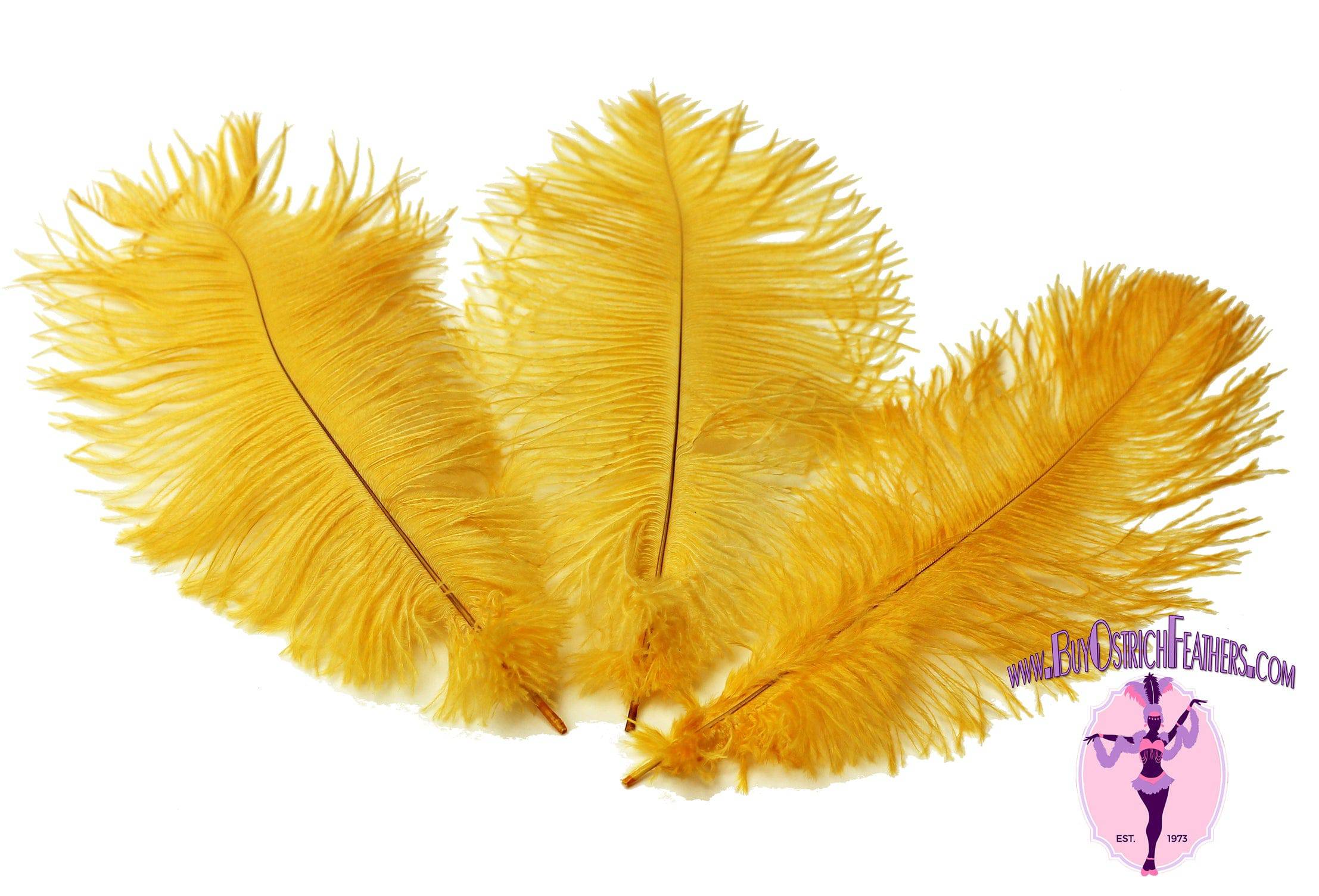 Ostrich Feather Tail Plumes 9-12 (Golden Yellow)