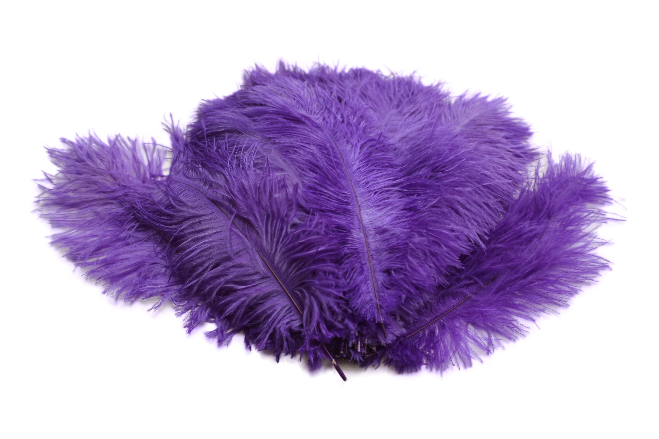 Ostrich Flexible Feathers 13-16" (Purple) - Buy Ostrich Feathers