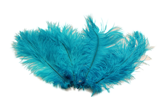 Ostrich Flexible Feathers 13-16" (Turquoise) - Buy Ostrich Feathers