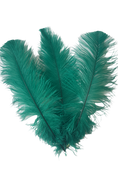 Load image into Gallery viewer, Ostrich Feather Spad Plumes 13-16" (Emerald Green) - Buy Ostrich Feathers
