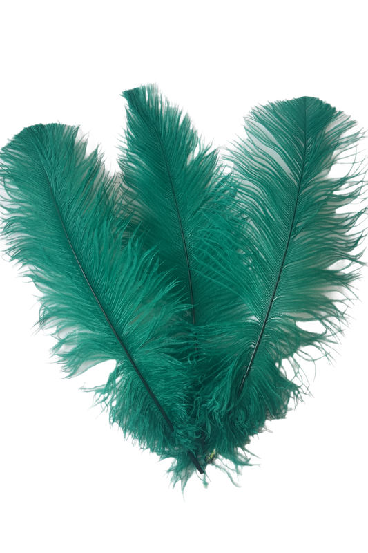 Ostrich Feather Spad Plumes 13-16" (Emerald Green) - Buy Ostrich Feathers