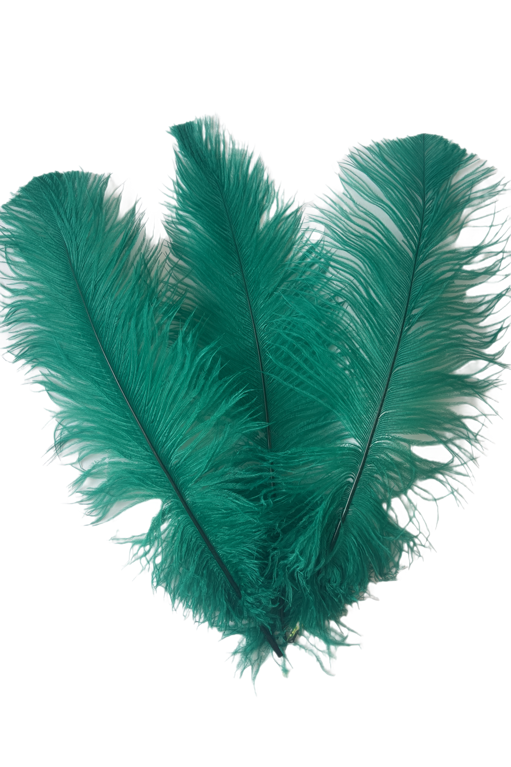 Ostrich Feather Spad Plumes 13-16