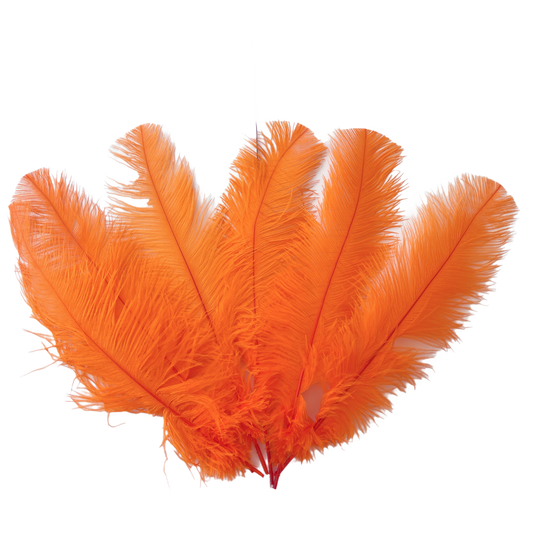 Ostrich Feather Tail Plumes 15-18" (Orange) - Buy Ostrich Feathers