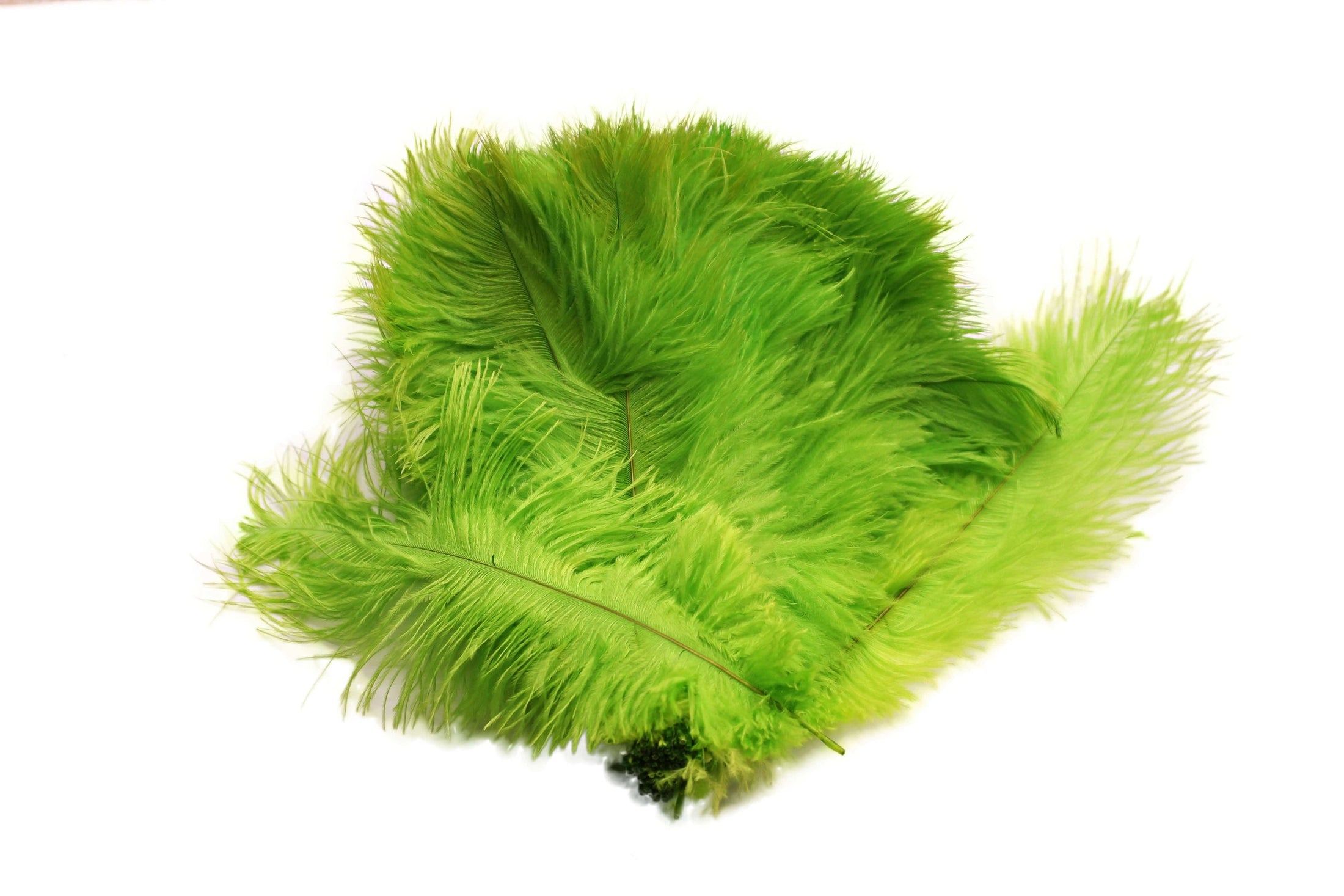 Ostrich Flexible Feathers 13-16" (Lime Green) - Buy Ostrich Feathers