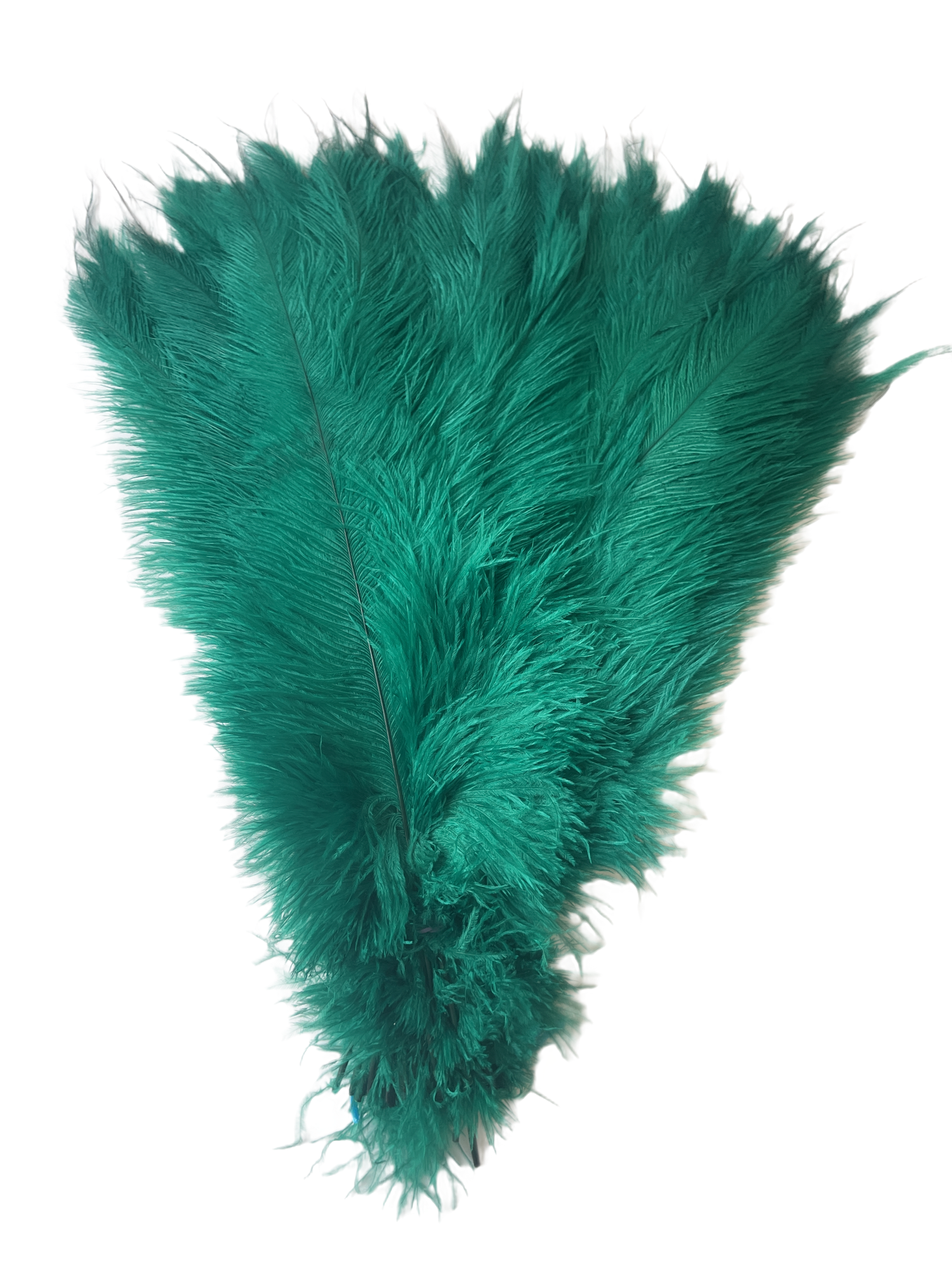 BULK 1/4lb Ostrich Feather Spad Plumes 12-16" (Emerald Green) - Buy Ostrich Feathers