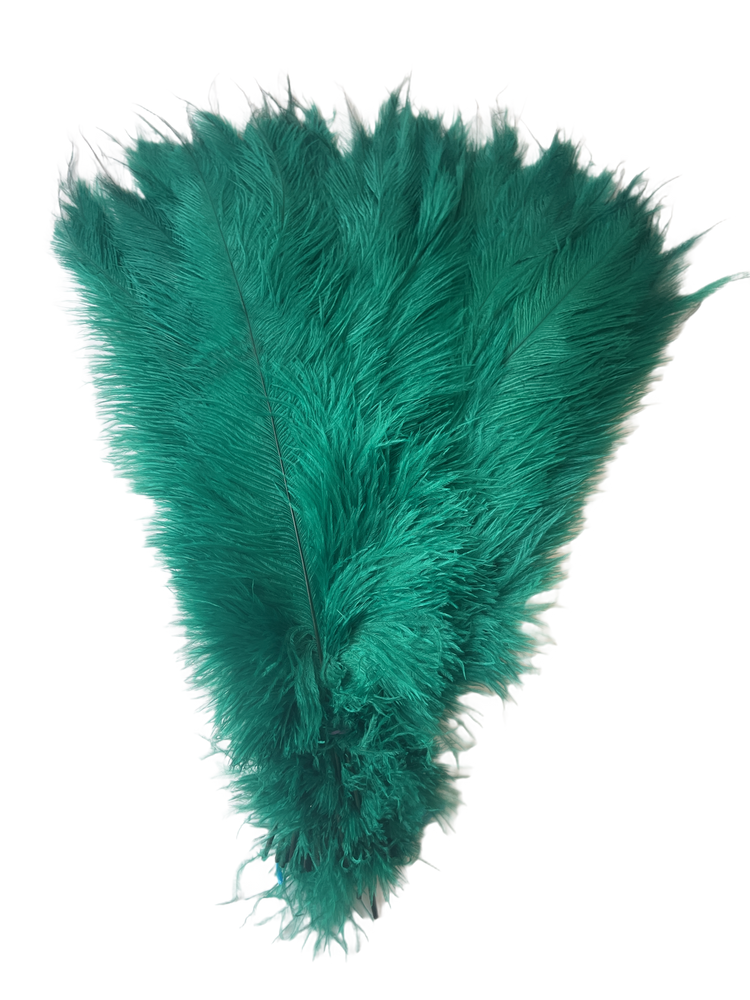 BULK 1/4lb Ostrich Feather Spad Plumes 12-16" (Emerald Green) - Buy Ostrich Feathers