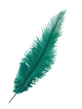 Load image into Gallery viewer, Ostrich Feather Spad Plumes 16-20" (Emerald Green) - Buy Ostrich Feathers
