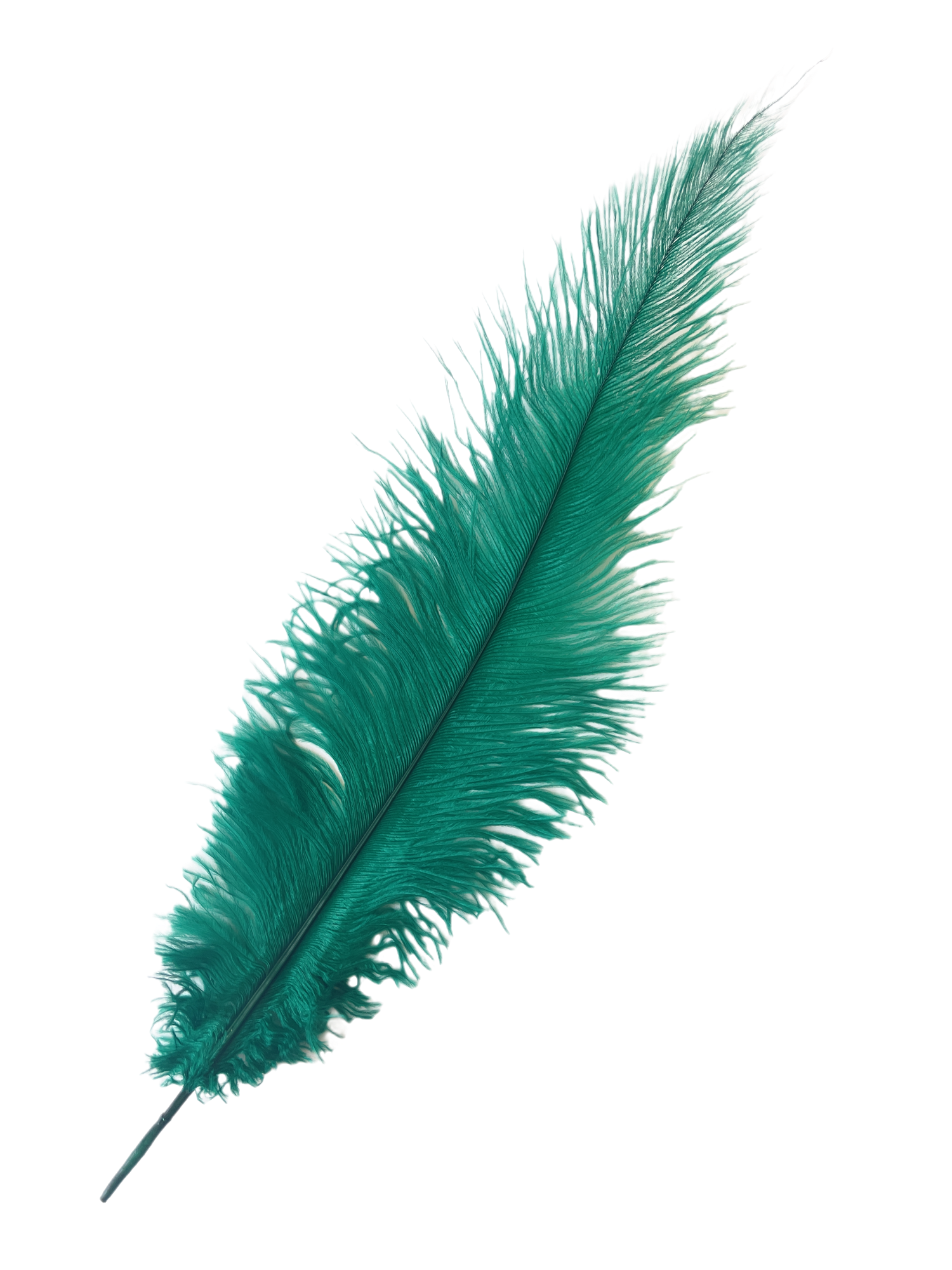 Ostrich Feather Spad Plumes 16-20" (Emerald Green) - Buy Ostrich Feathers