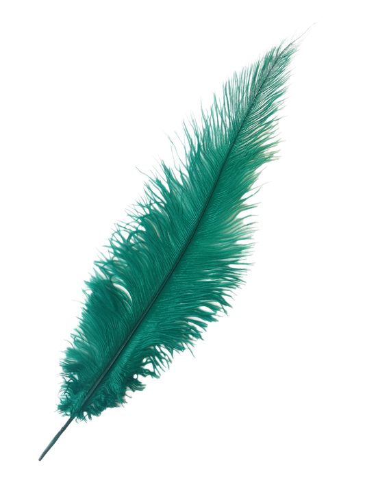 Ostrich Feather Spad Plumes 13-16" (Emerald Green) - Buy Ostrich Feathers