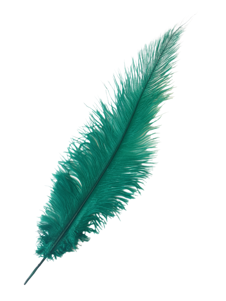 
                  
                    Ostrich Feather Spad Plumes 13-16" (Emerald Green) - Buy Ostrich Feathers
                  
                