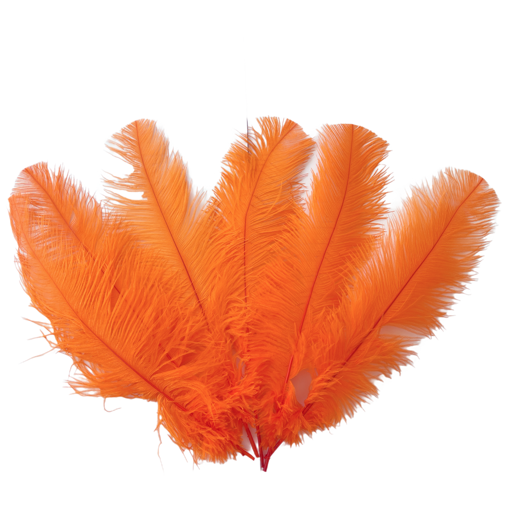 Orange shop ostrich feathers