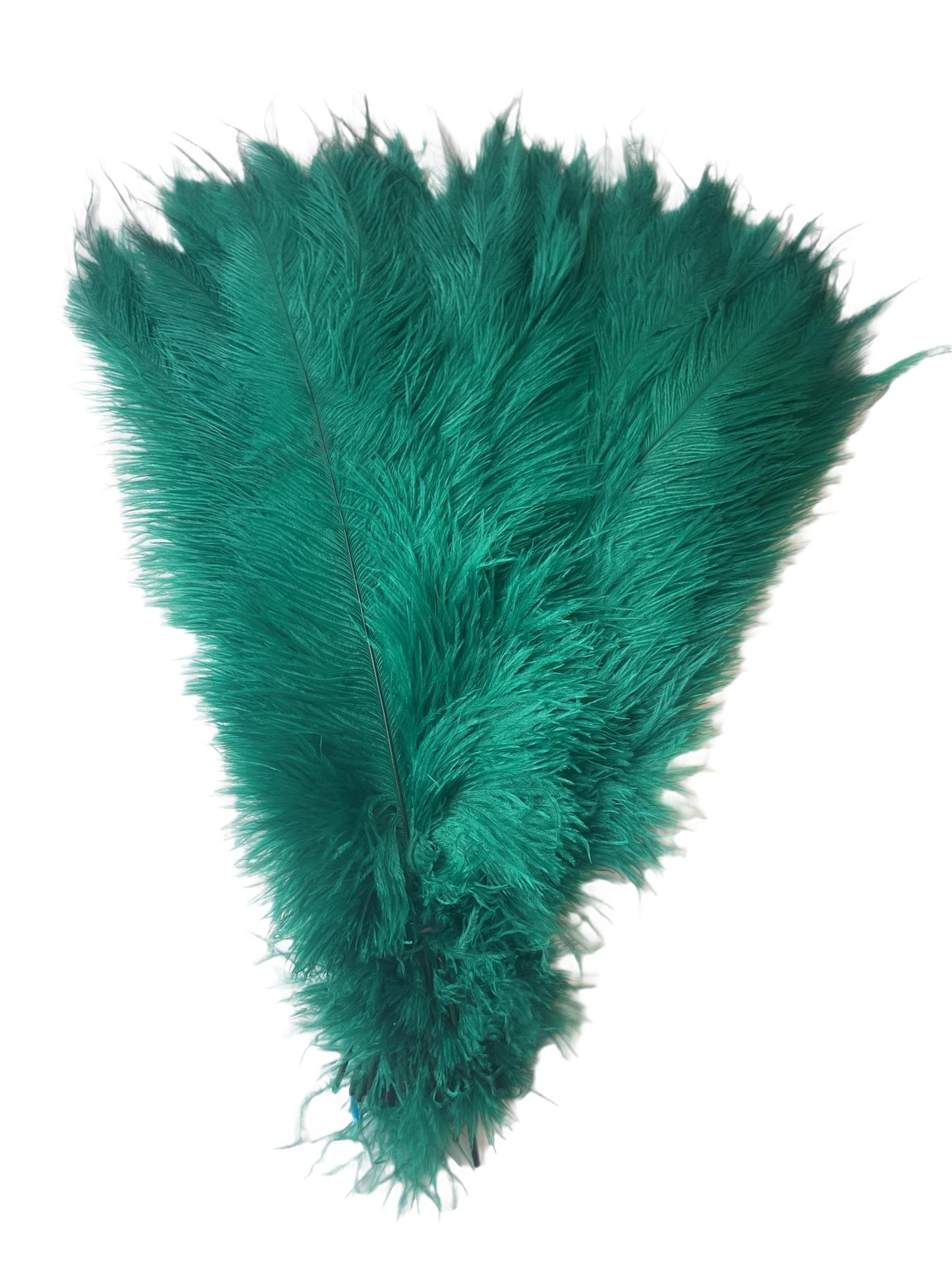 Ostrich Feather Spad Plumes 15-18" (Emerald Green) - Buy Ostrich Feathers