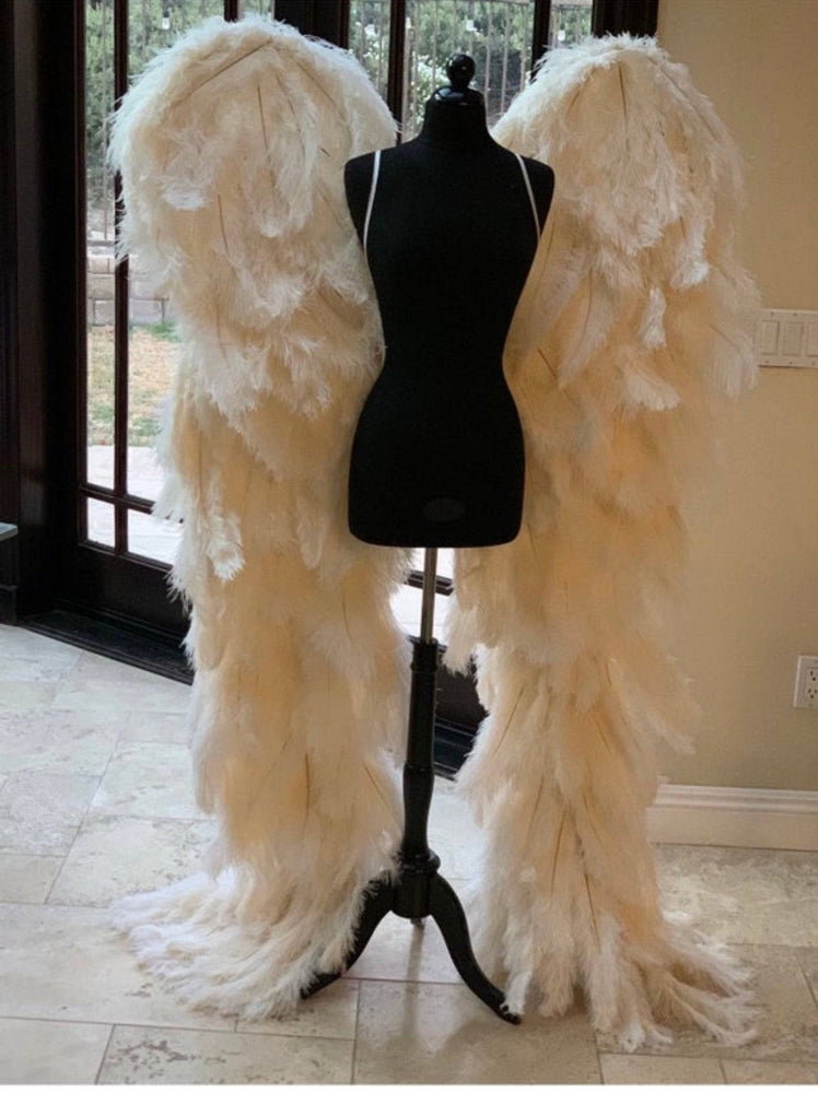 
                  
                    Professional Genuine Adult Feather Angel Wings - Buy Ostrich Feathers
                  
                