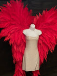 Load image into Gallery viewer, Professional Genuine Adult Feather Angel Wings SPADS - Buy Ostrich Feathers
