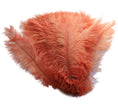 Load image into Gallery viewer, BULK Ostrich Feather Spad Plumes 16-20" (Apricot) - Buy Ostrich Feathers
