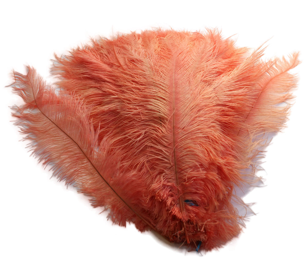 
                  
                    BULK Ostrich Feather Spad Plumes 16-20" (Apricot) - Buy Ostrich Feathers
                  
                