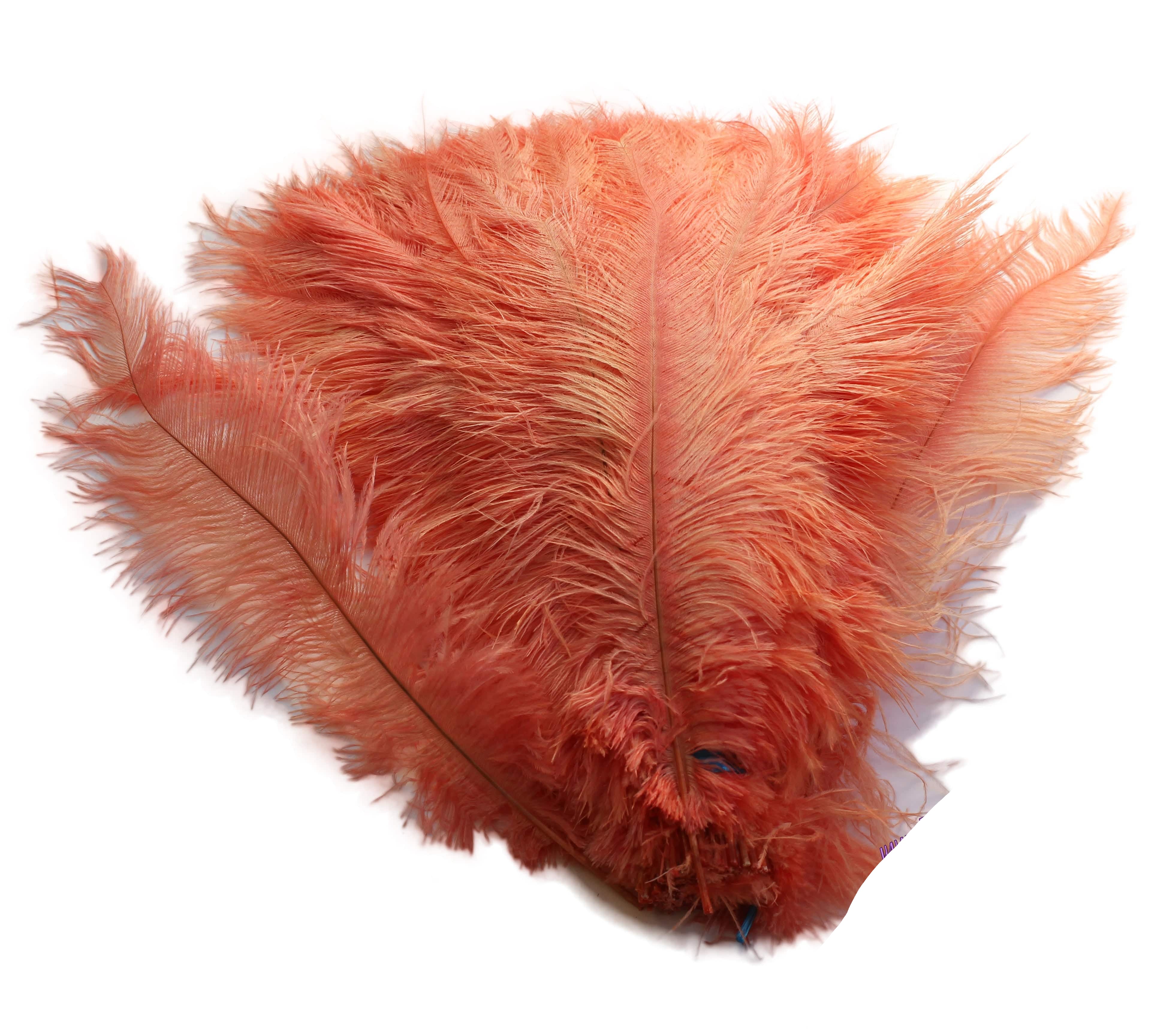BULK Ostrich Feather Spad Plumes 16 20 Apricot for Sale Online