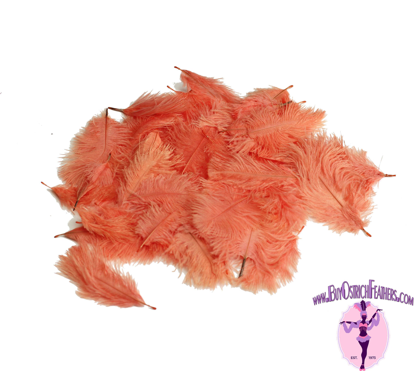 
                  
                    Confetti Craft Ostrich Feathers (Apricot) - Buy Ostrich Feathers
                  
                