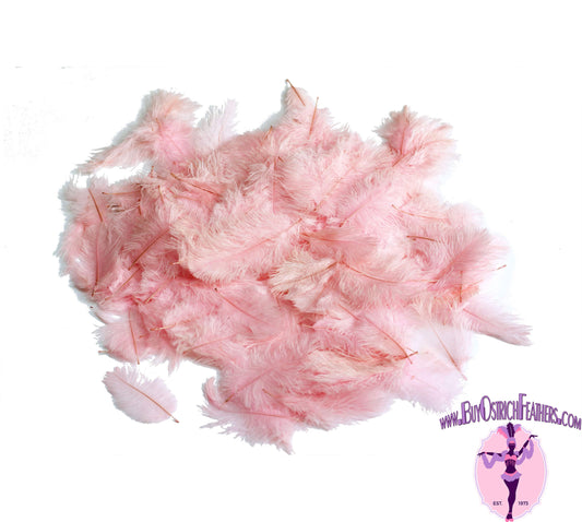 Confetti Craft Ostrich Feathers (Baby Pink) - Buy Ostrich Feathers