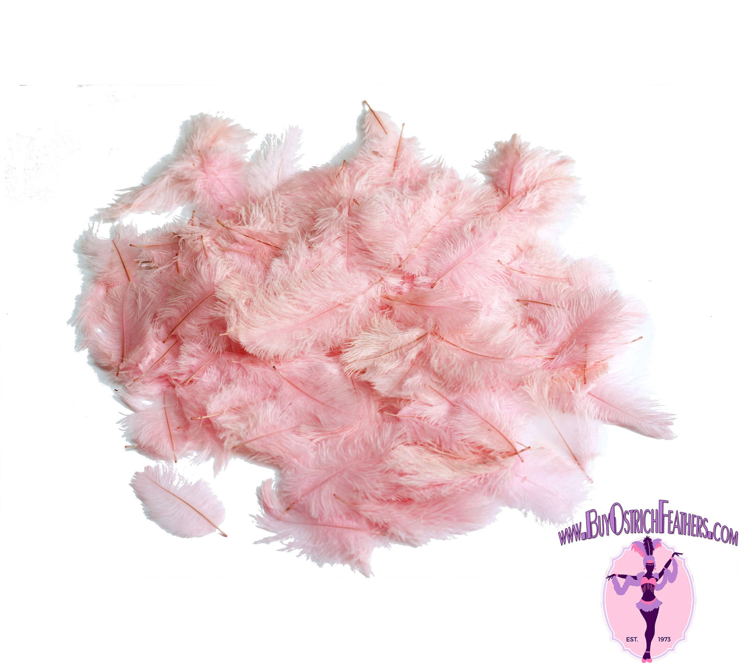 Confetti Craft Ostrich Feathers (Baby Pink) - Buy Ostrich Feathers