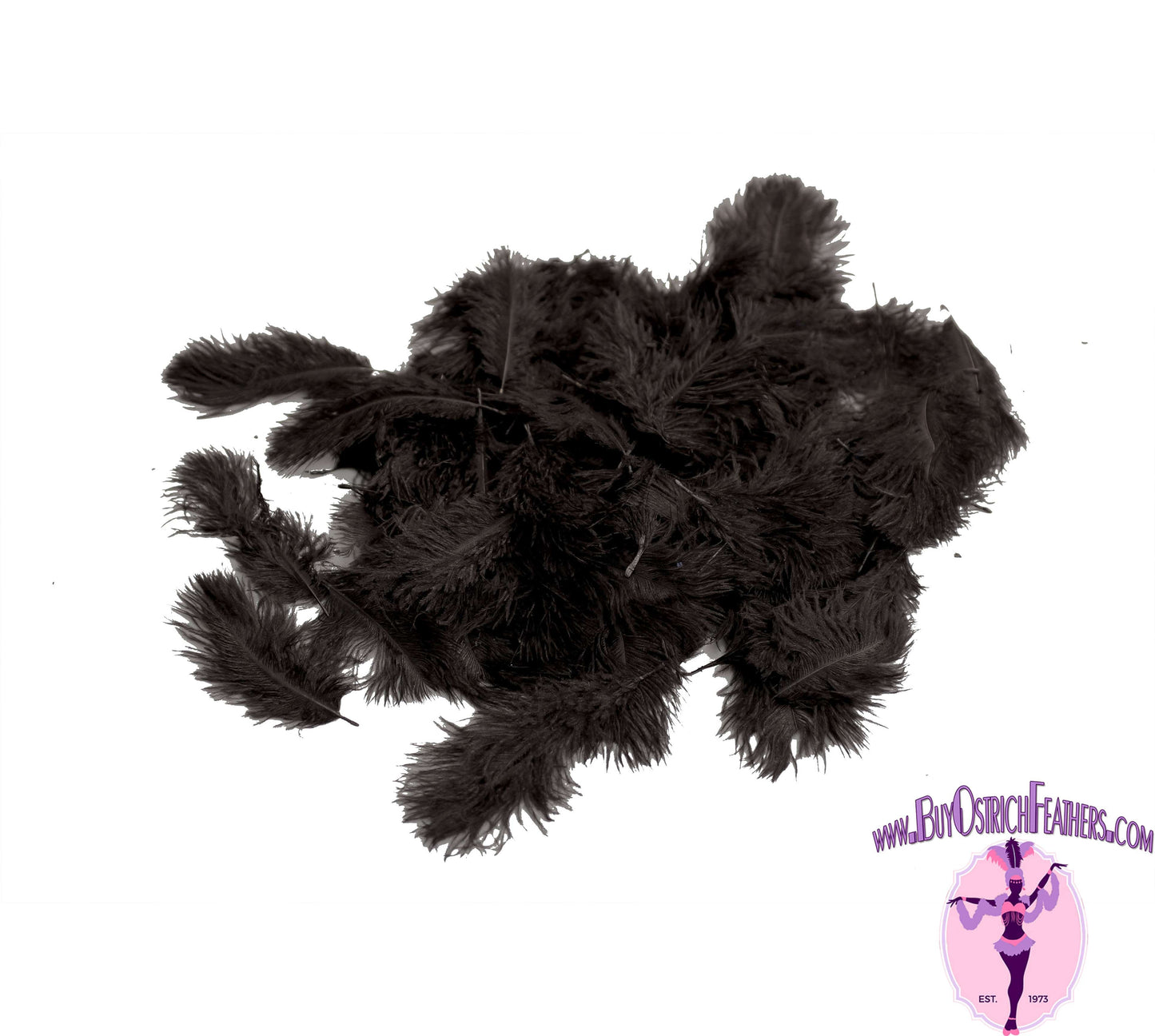 Confetti Craft Ostrich Feathers (Black) - Buy Ostrich Feathers