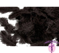 Load image into Gallery viewer, Confetti Craft Ostrich Feathers (Black) - Buy Ostrich Feathers
