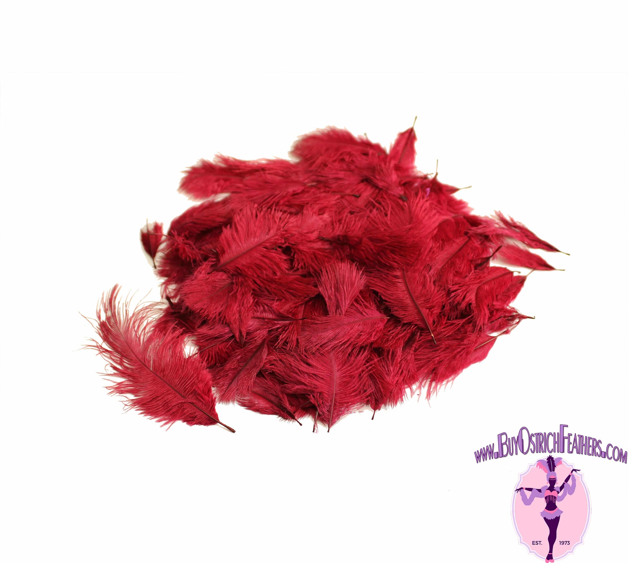 Confetti Craft Ostrich Feathers (Burgundy) - Buy Ostrich Feathers