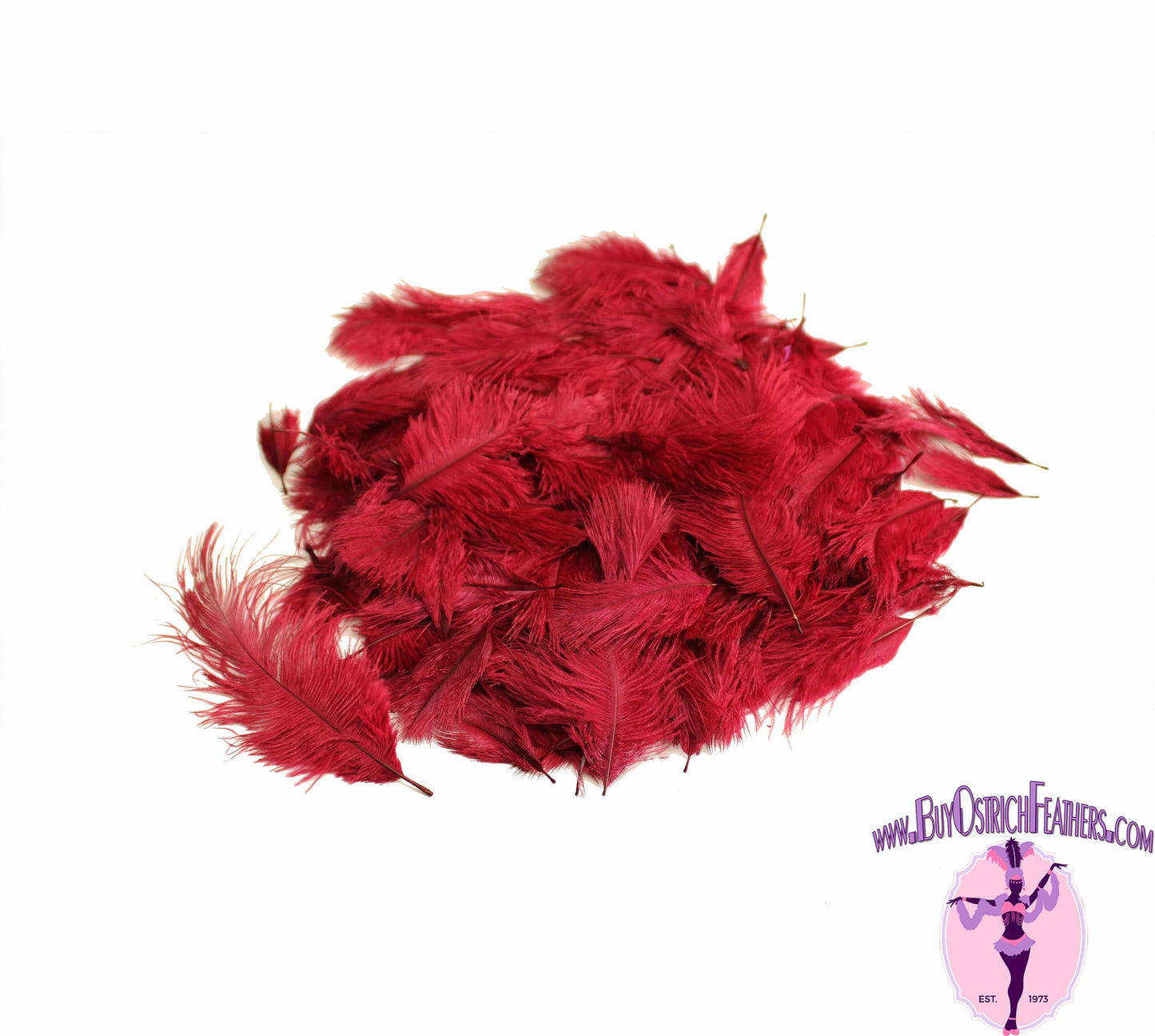 
                  
                    Confetti Craft Ostrich Feathers (Burgundy) - Buy Ostrich Feathers
                  
                