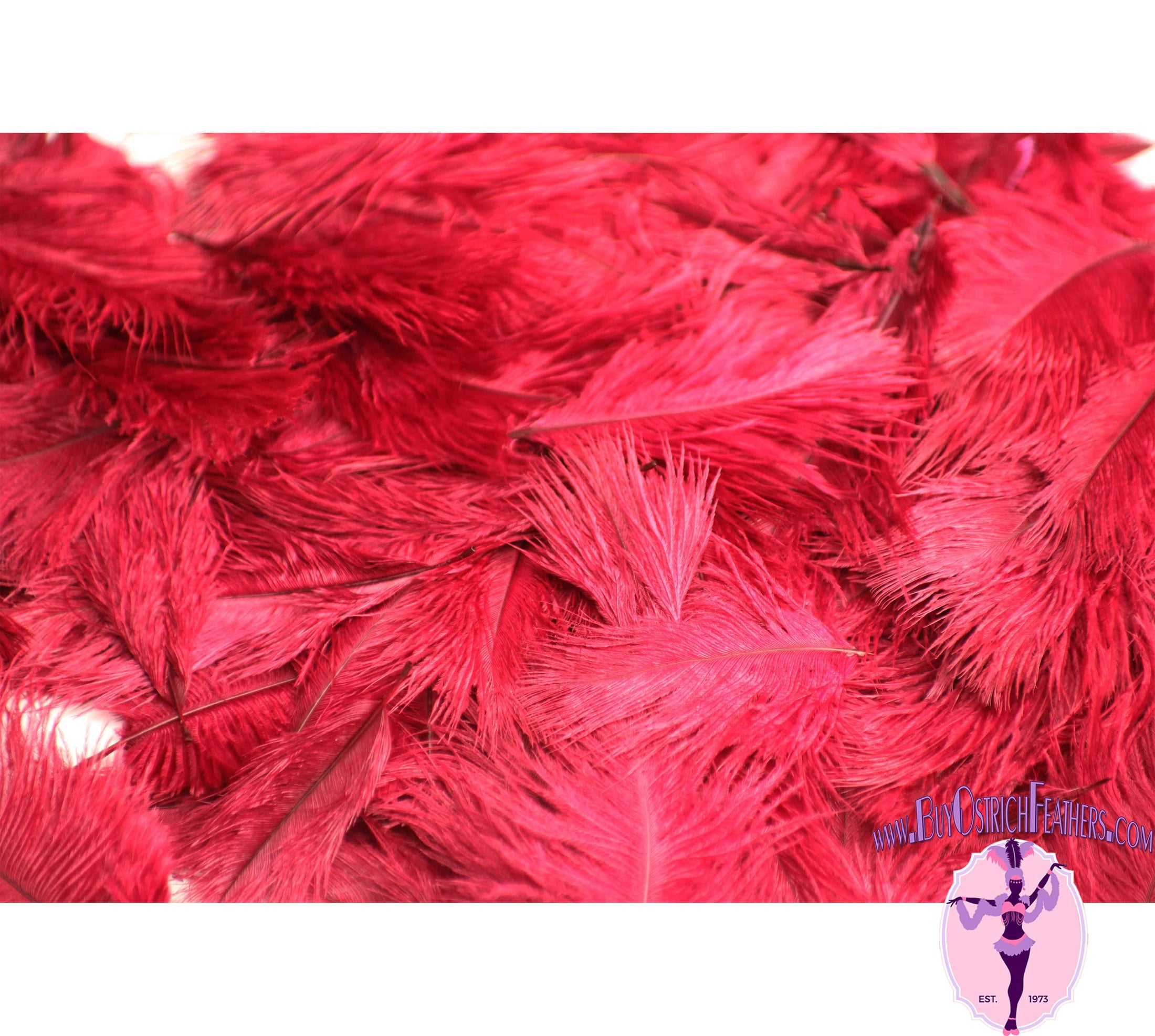 Confetti Craft Ostrich Feathers (Burgundy) - Buy Ostrich Feathers