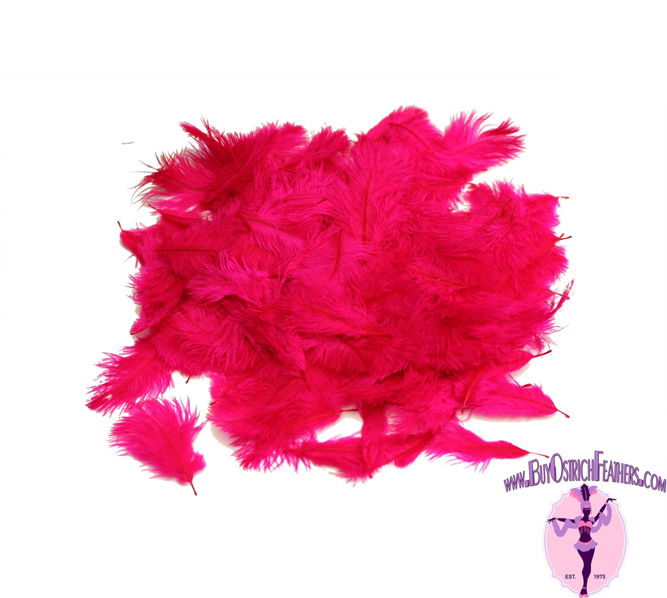 Confetti Craft Ostrich Feathers (Fuschia) - Buy Ostrich Feathers