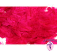 Load image into Gallery viewer, Confetti Craft Ostrich Feathers (Fuschia) - Buy Ostrich Feathers
