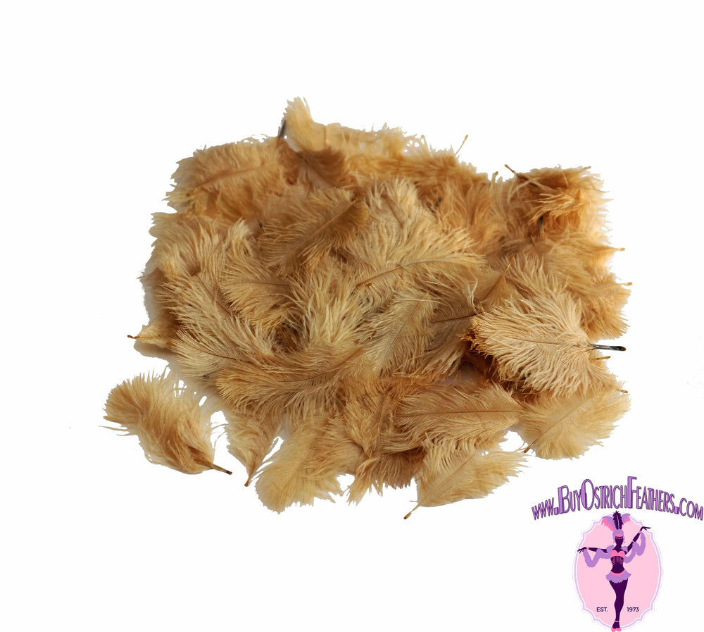 Confetti Craft Ostrich Feathers (Gold) - Buy Ostrich Feathers
