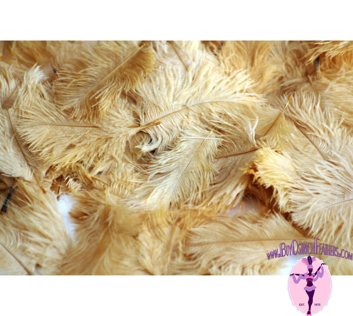 
                  
                    Confetti Craft Ostrich Feathers (Gold) - Buy Ostrich Feathers
                  
                