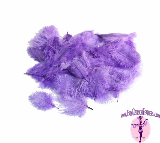 Confetti Craft Ostrich Feathers (Lavender) - Buy Ostrich Feathers