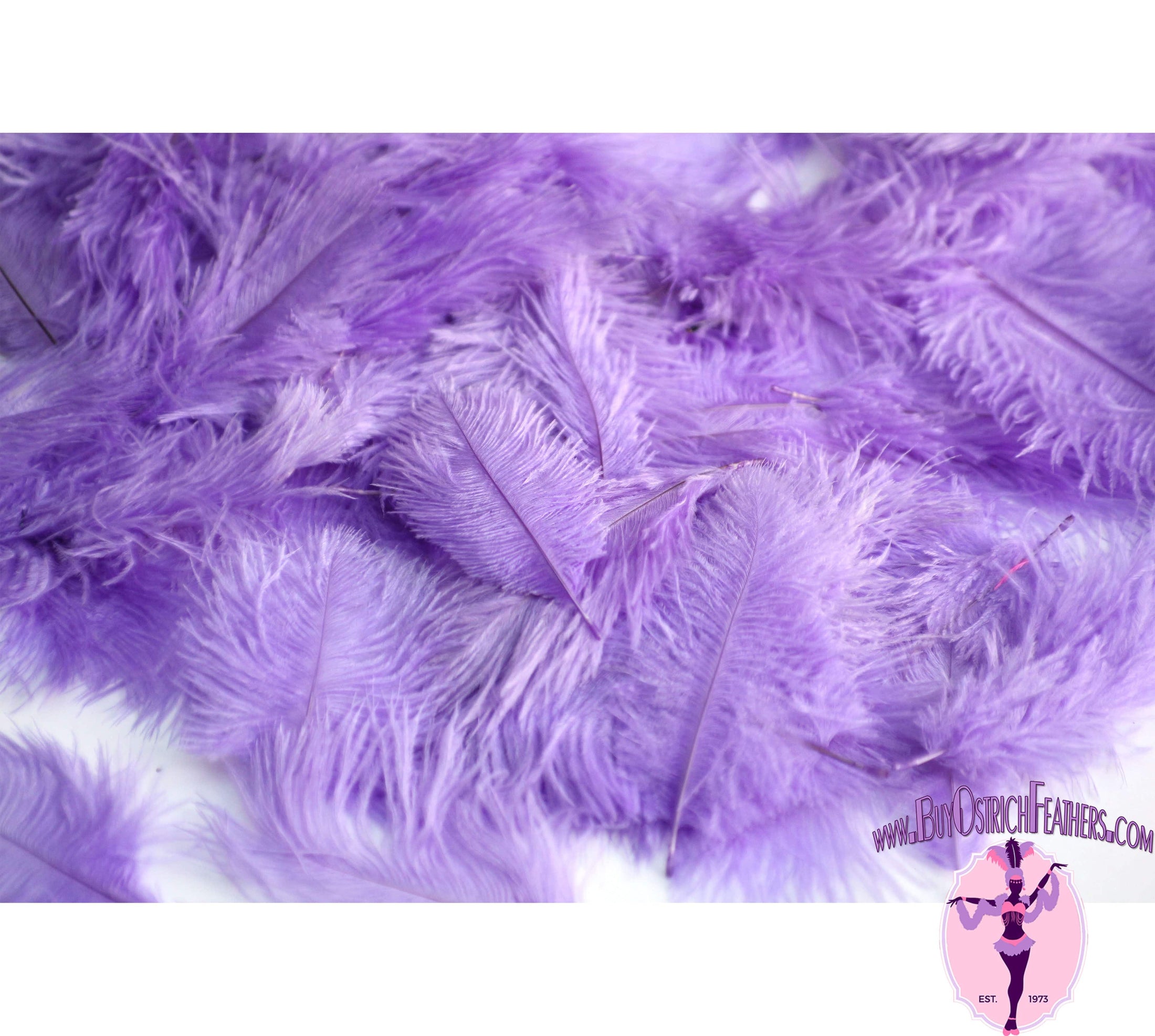 Confetti Craft Ostrich Feathers (Lavender) - Buy Ostrich Feathers