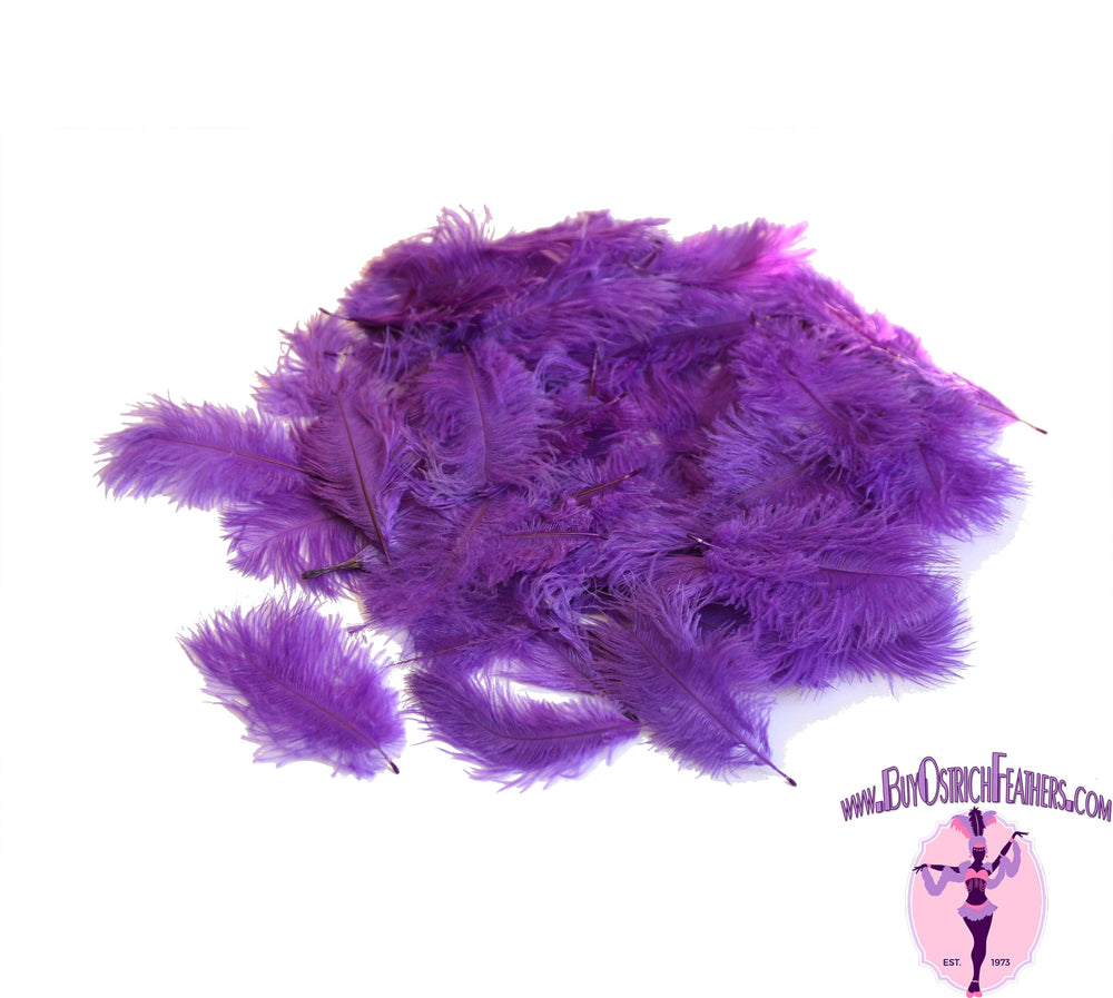 Confetti Craft Ostrich Feathers (Purple) - Buy Ostrich Feathers