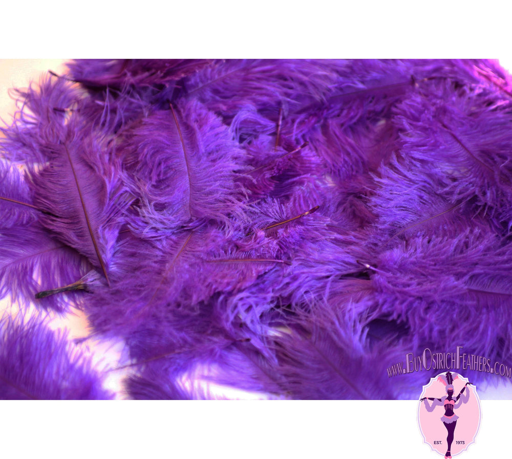 
                  
                    Confetti Craft Ostrich Feathers (Purple) - Buy Ostrich Feathers
                  
                
