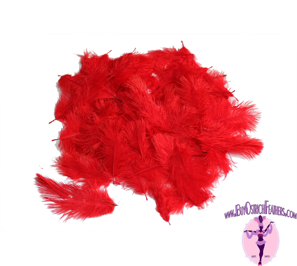 Confetti Craft Ostrich Feathers (Red) - Buy Ostrich Feathers