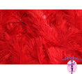 Load image into Gallery viewer, Confetti Craft Ostrich Feathers (Red) - Buy Ostrich Feathers
